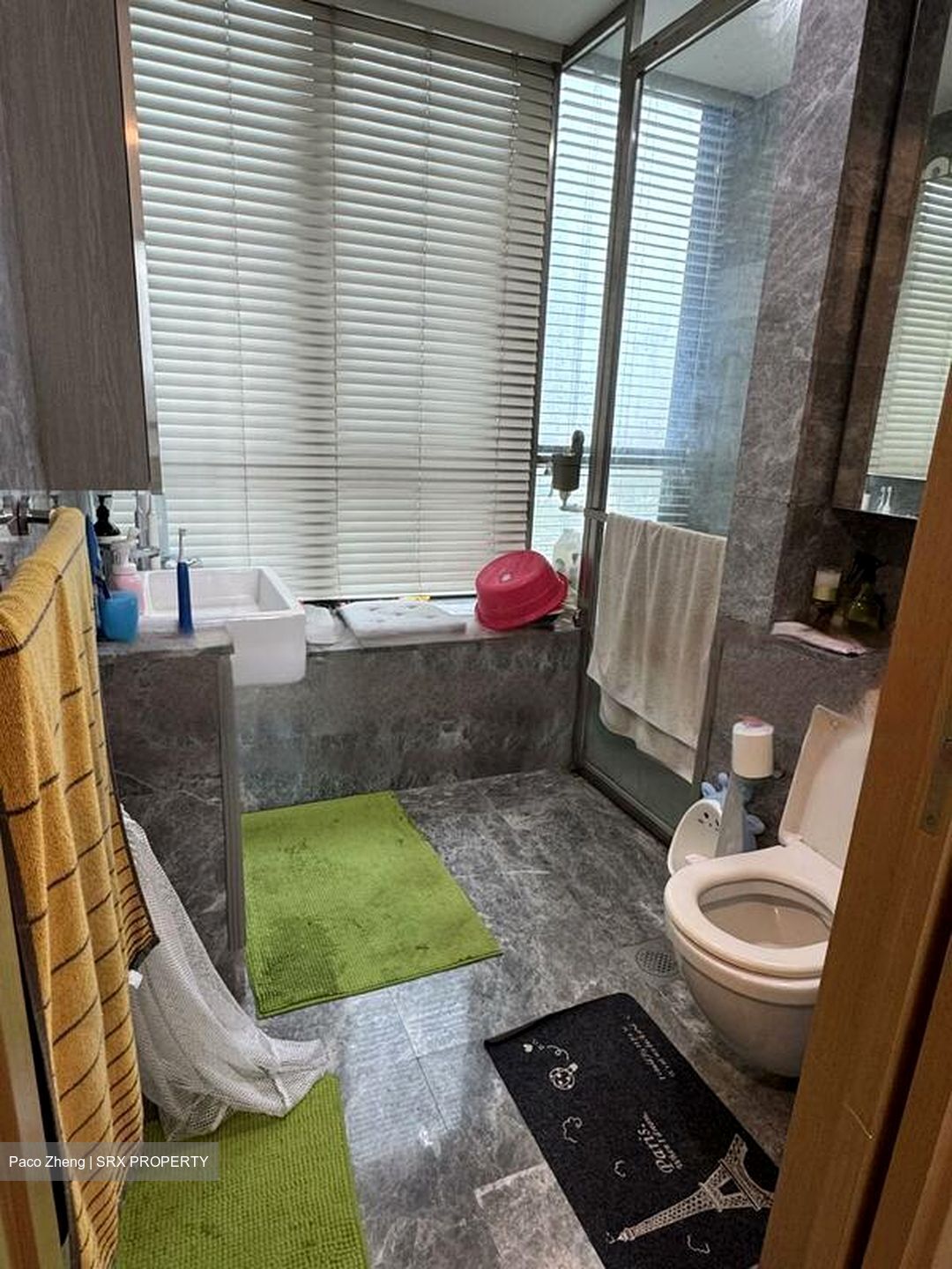 Skyline Residences (D4), Condominium #452708111